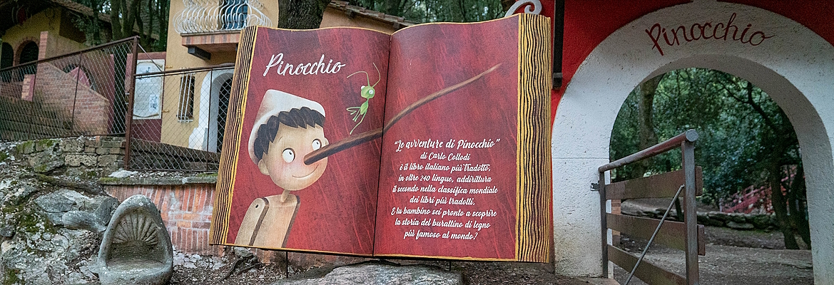 Titolo: La Città della Domenica