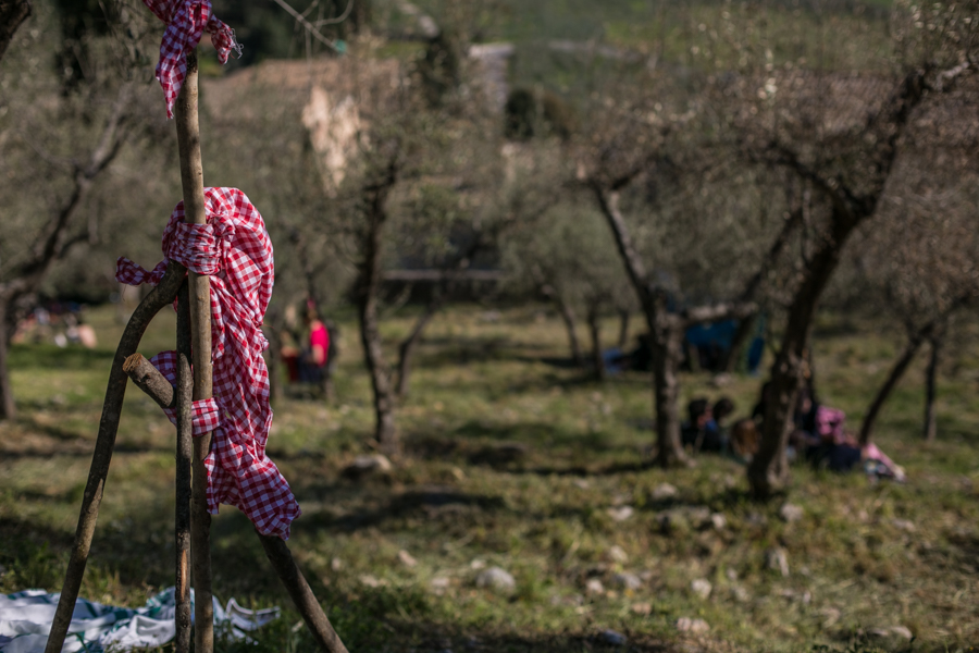 Pic & Nic a Trevi 2019