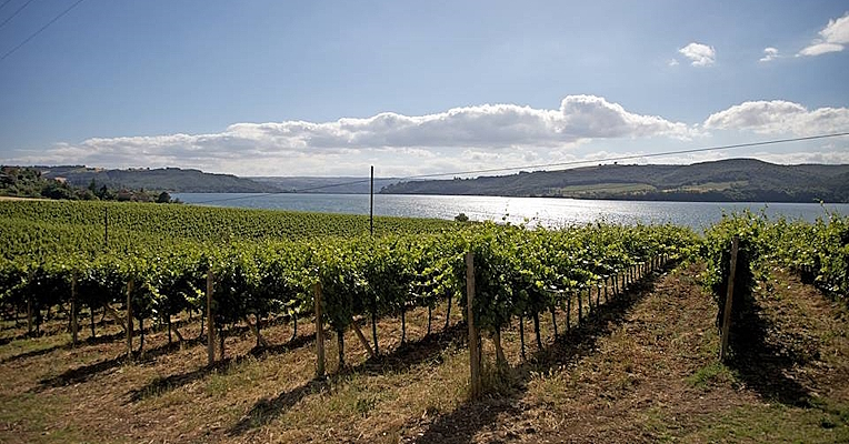 Immagine: Lago di Corbara