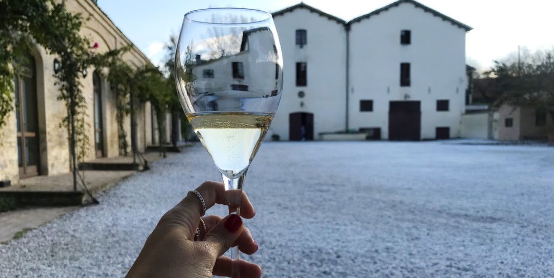 Giornata nazionale della cultura del vino e dell’olio in Umbria