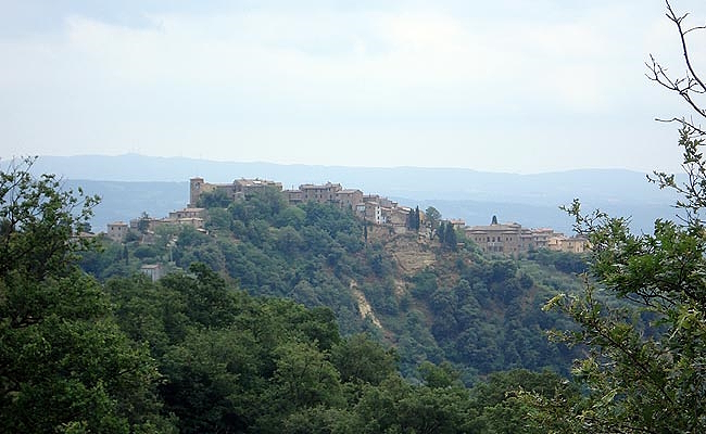 Titolo: Forests and vineyards between Città Della Pieve and Orvieto 