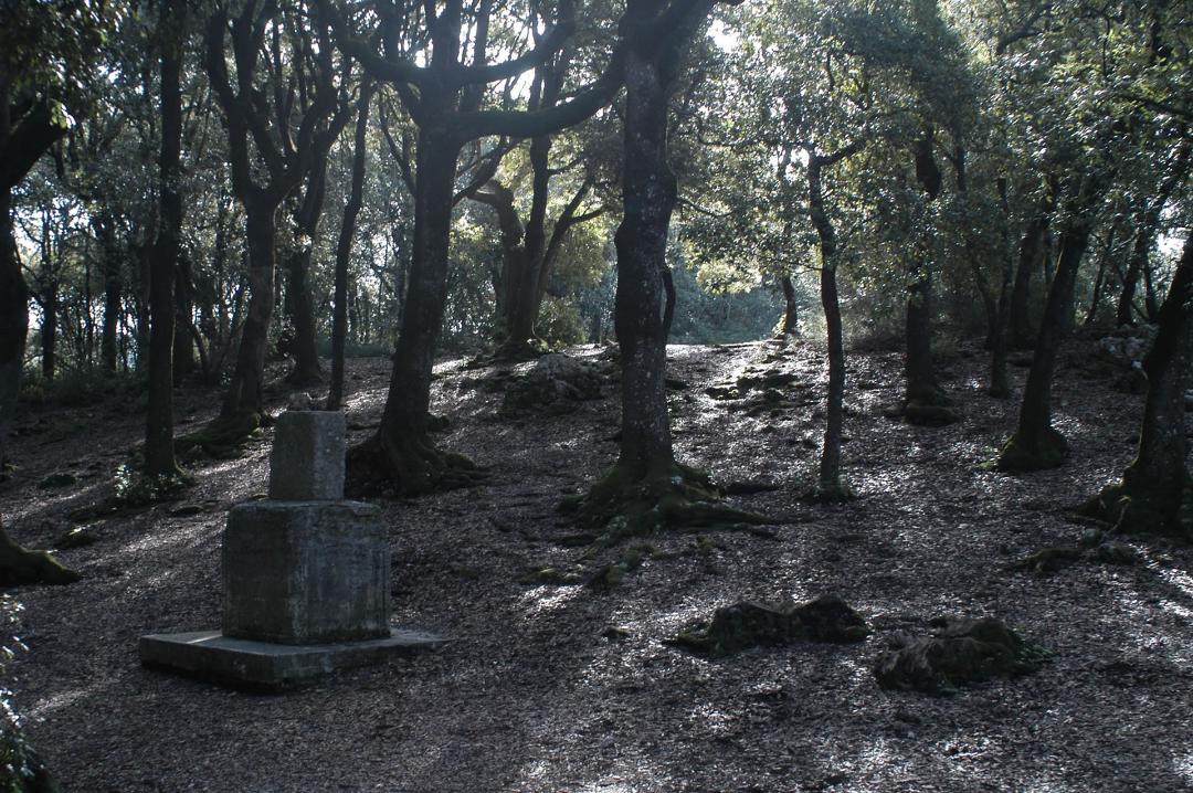 Hiking from Spoleto to Monteluco