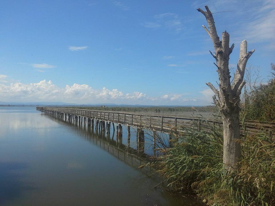 Trekking along the Trasimeno