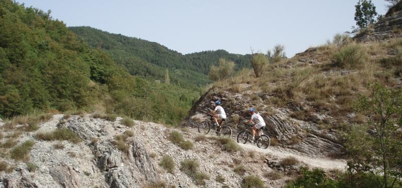 Appennino umbro-marchigiano