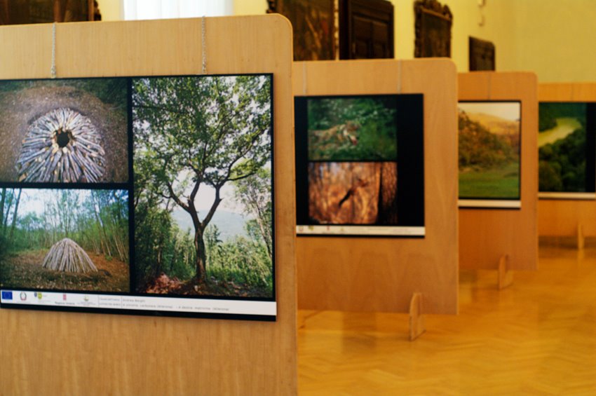 Fair of Concrete Utopias