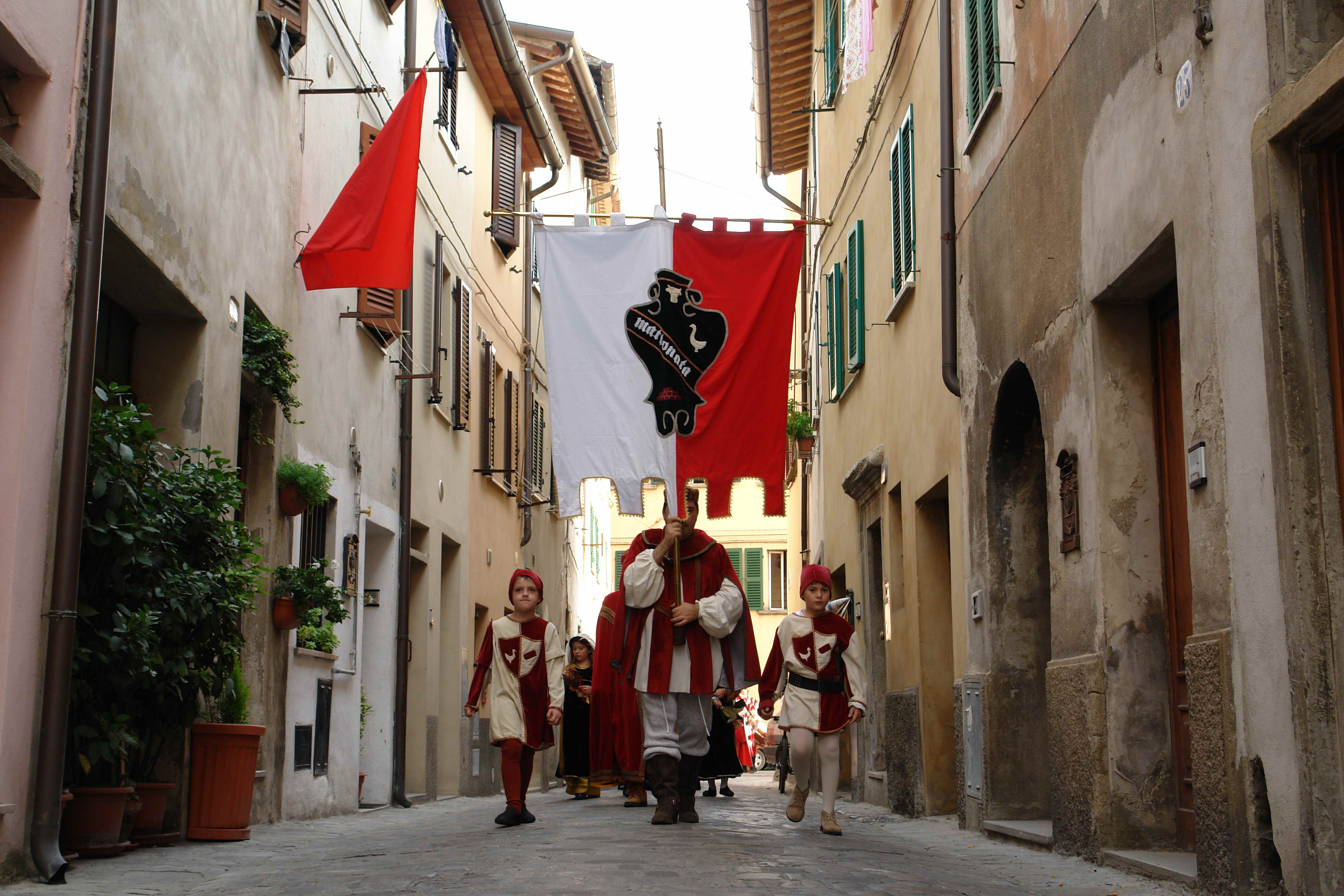 The Goose Palio