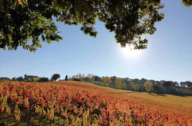 I Weekend della Strada del Sagrantino
