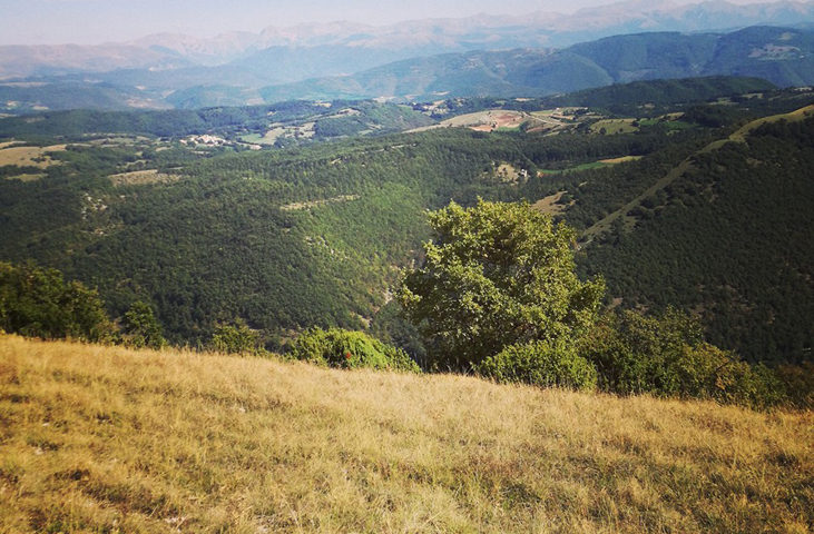 Gold of Molini, the Bread from the Soil