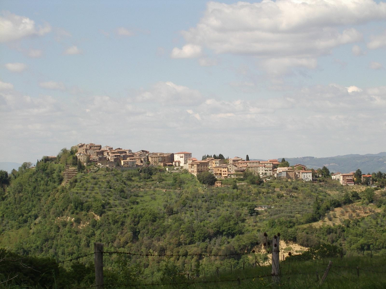 La Selva di Meana