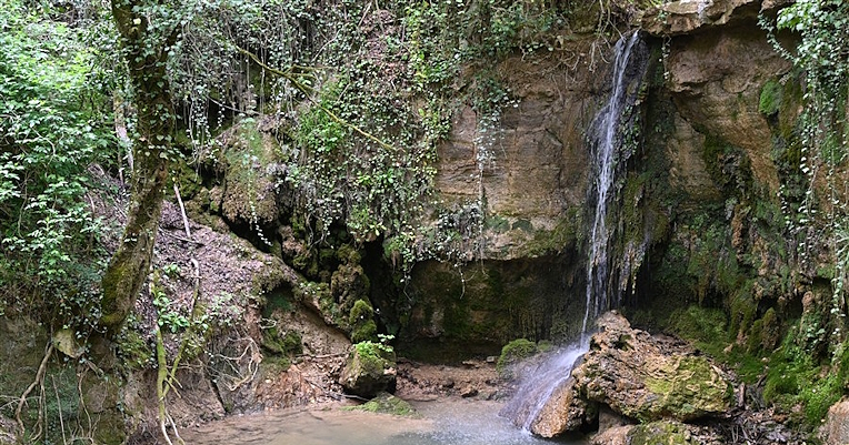 Small waterfall descending from a rocky wall covered with moss and vegetation, forming a clear pool in the forest near Castel Rinaldi, Acquasparta.