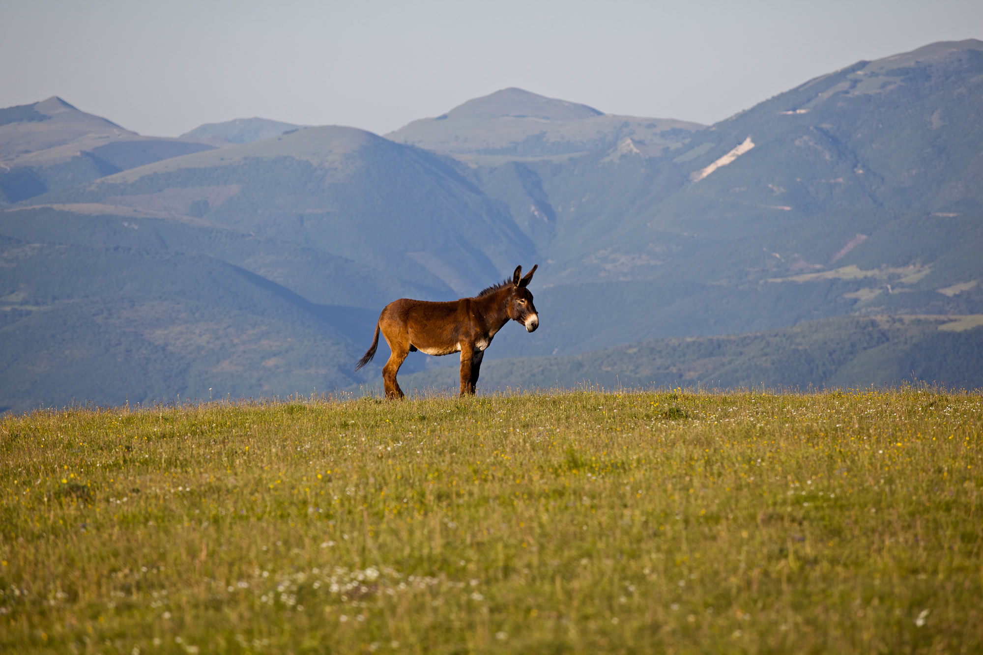 Parco del Monte Subasio