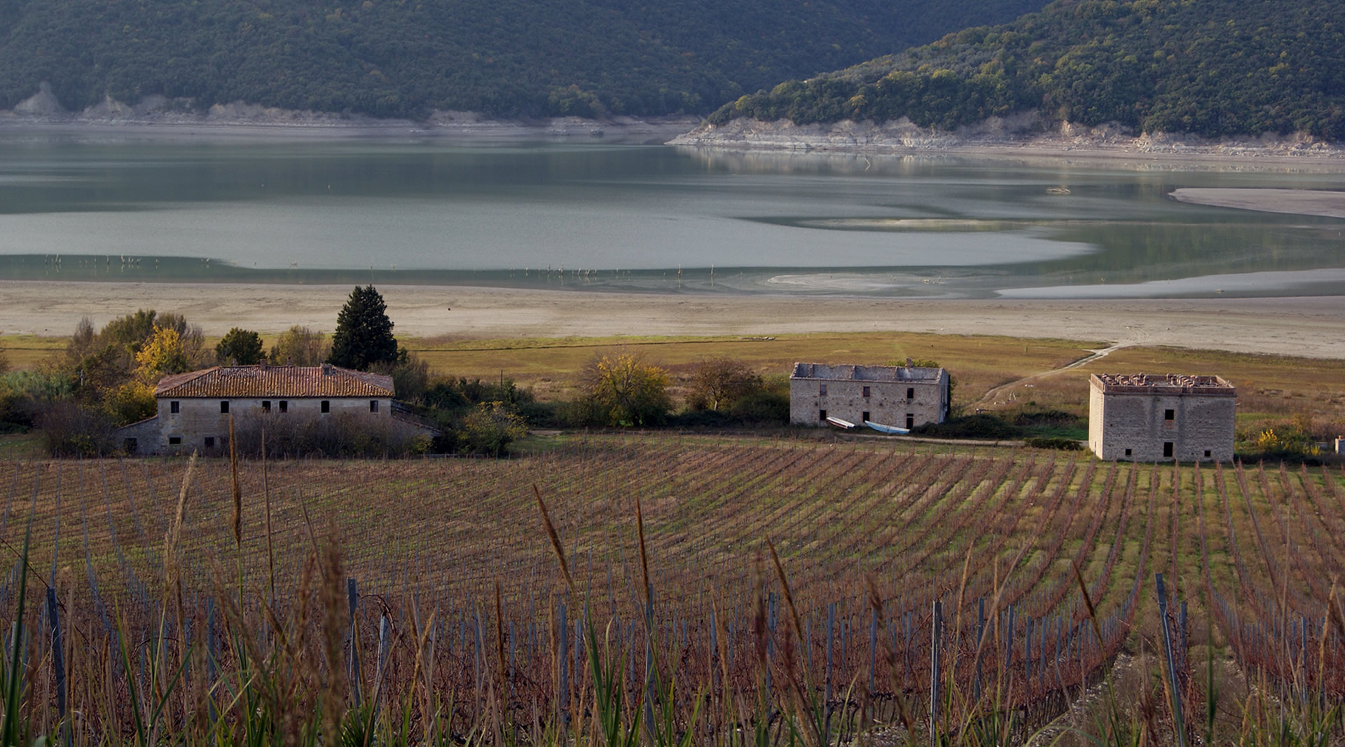 Parco fluviale del Tevere