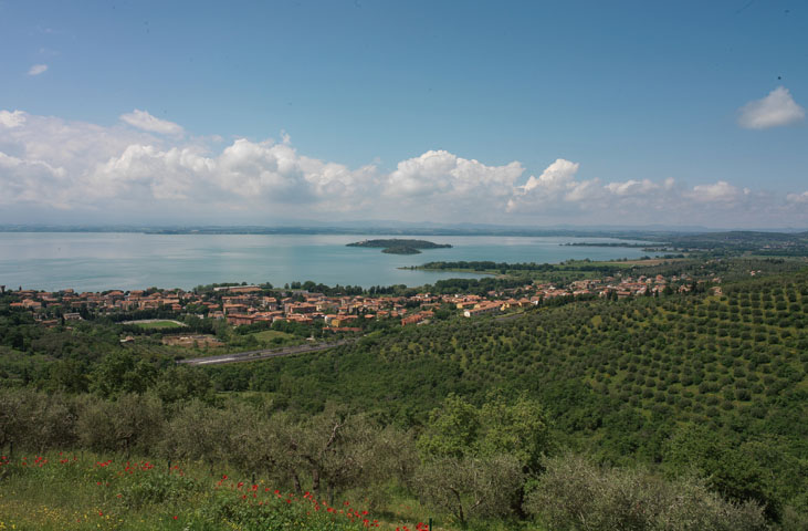 OliAMO