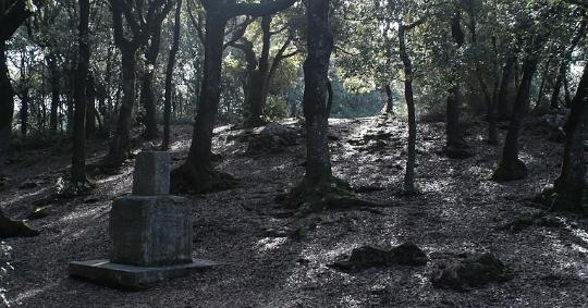  Trekking da Spoleto a Monteluco 