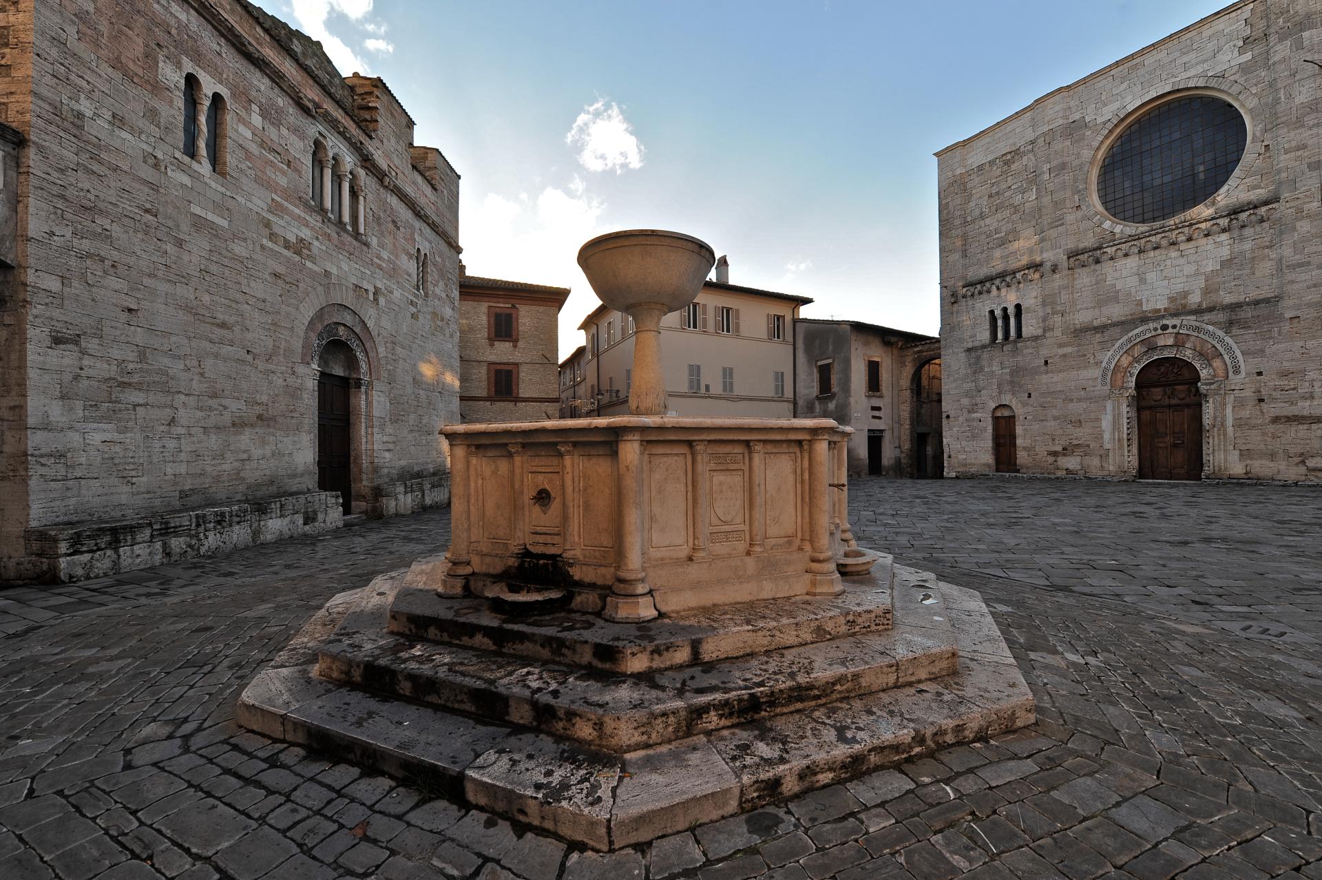 O-live: l'olio nuovo dal vivo