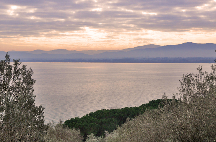La Benfinita di Frantoi Aperti