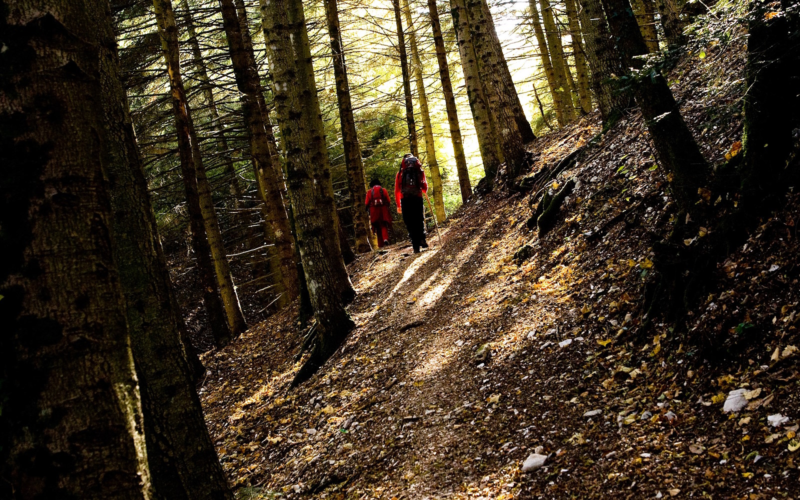 The “Montagnaterapia”