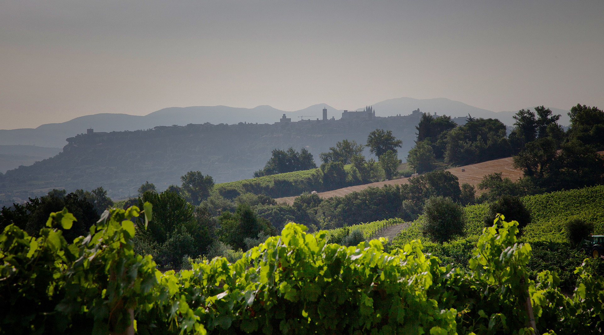 Umbria, a tourism for all tastes - Cities of Wine