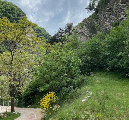 La Gola del Bottaccione