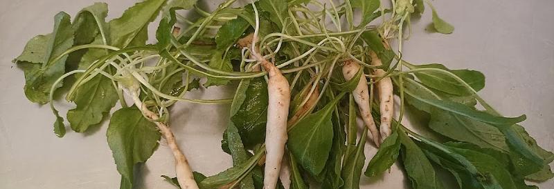 Un bouquet de raiponce sur la table.