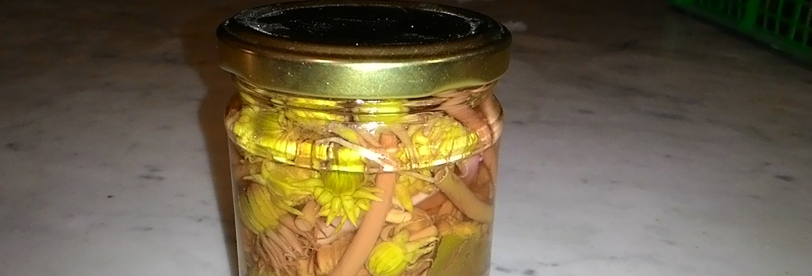 Un vasetto di fiori di tarassaco sott’olio.