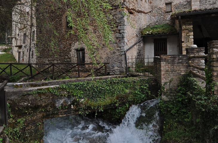 Penelope in Rasiglia with Roses