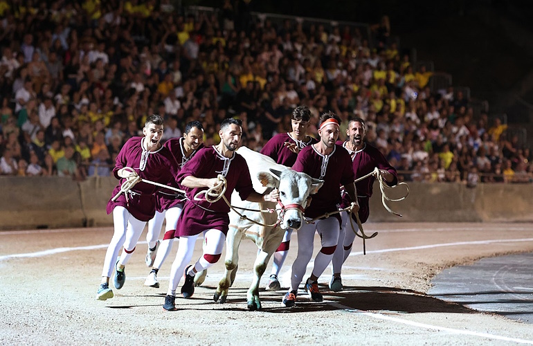 la fuga del bove 2024 playbill