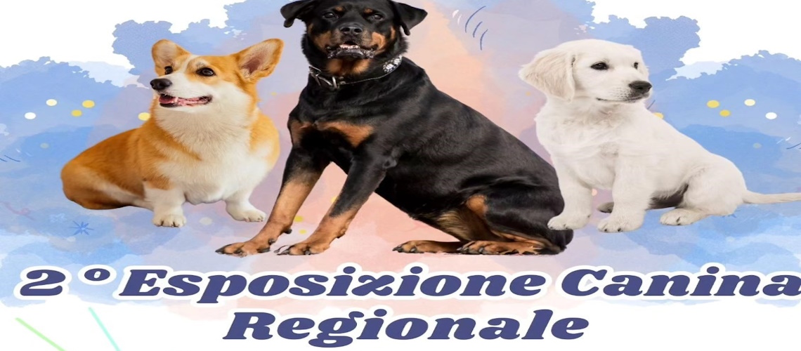 playbill esposizione canina 2024 - Corciano
