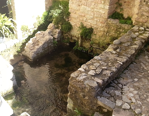 Stone spring with clear water, moss, and vegetation on the walls, lit by sunlight.
