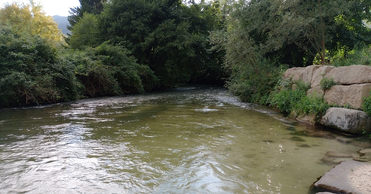 : Vista del Fiume Nera che scorre in Valnerina, con le sue acque limpide, tra la vegetazione lussureggiante