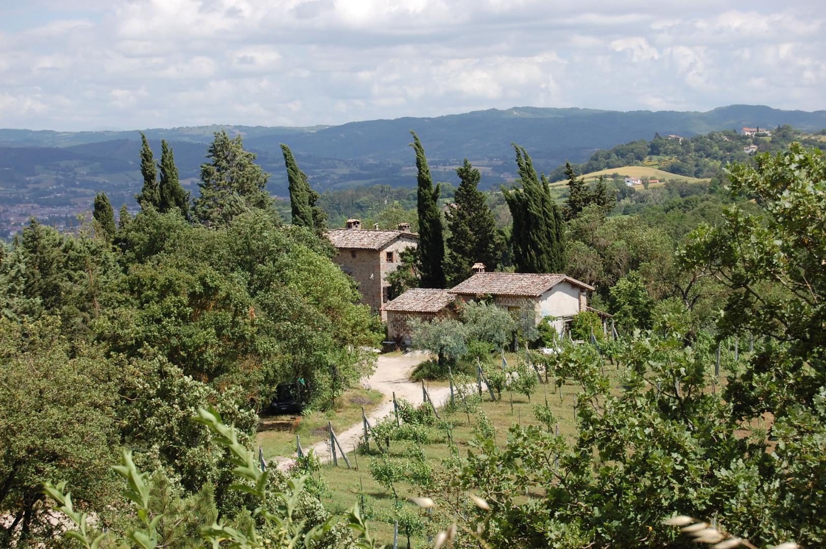Parco di Archeologia Arborea di San Lorenzo di Lerchi