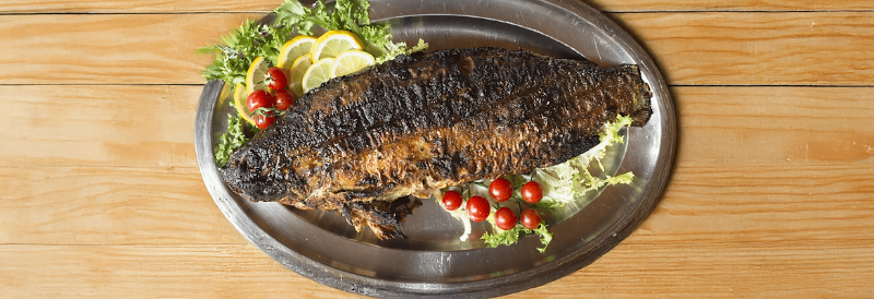 Carpa regina in porchetta su un vassoio d'acciaio guarnito con limone, insalata e pomodorini su un tavolo di legno.