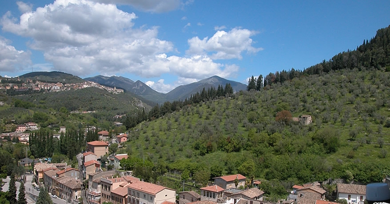 Montée vers la montagne au-dessus d'Arrone à travers les oliviers