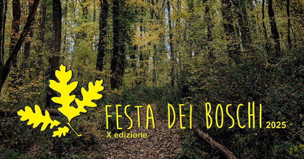Plakat der Festa dei Boschi