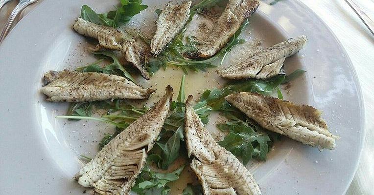 Gegrillte Süßwasserfischfilets kreisförmig auf Rucolabett angerichtet, mit Öl und Pfeffer gewürzt, auf rundem Teller