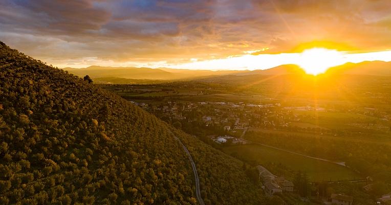 Panoramaaufnahme bei Sonnenuntergang eines mit Olivenbäumen bepflanzten Hügels mit Blick über das Tal, während die Sonne hinter den Bergen untergeht