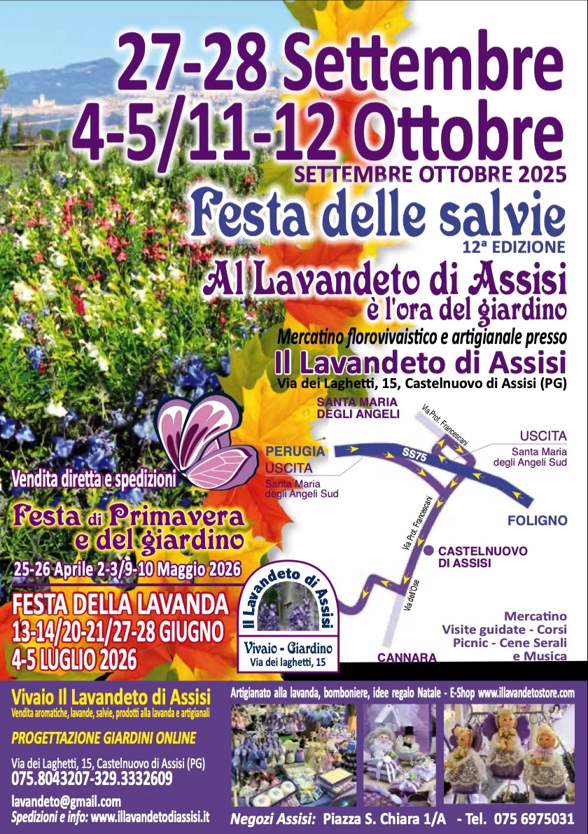 Poster of Festa delle Salvie in Assisi