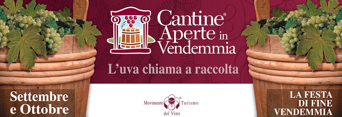 Poster of Cantine aperte in vendemmia