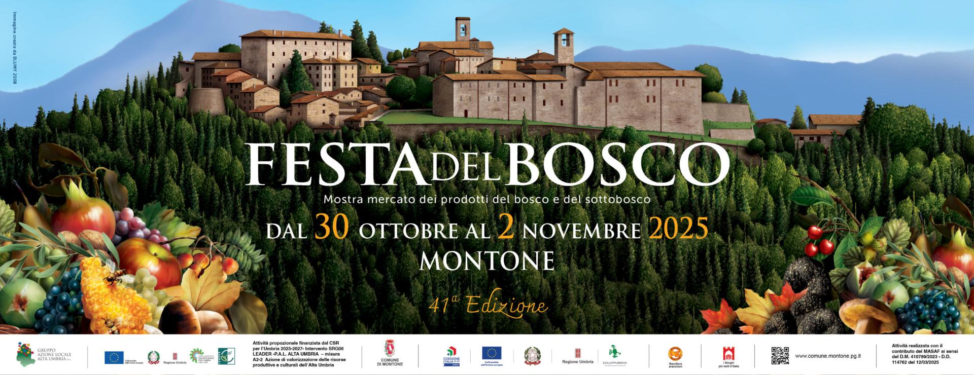 Poster of Festa del Bosco in Montone
