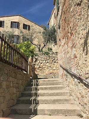 Stone staircase rising between low walls and historic houses, with an olive tree and a blue sky in the background in Gualdo Cattaneo.