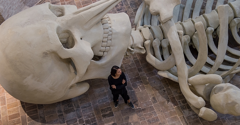 Scheletro gigante installato in una chiesa sconsacrata, tra luci soffuse e architettura in mattoni
