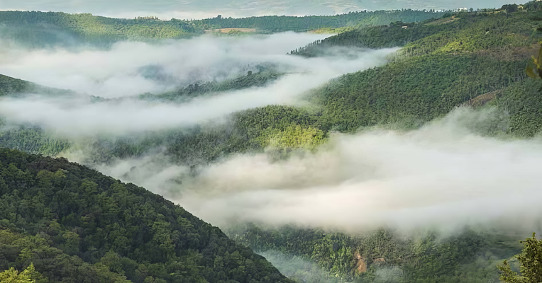 Die Wälder des Monte Peglia, eingehüllt in morgendlichen Nebel.