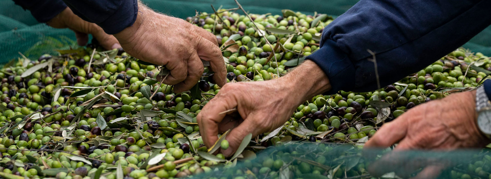 Poster of Frantotipico 2025 in Castel Ritaldi