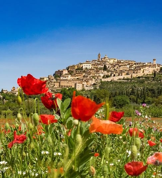  Un campo fiorito di papaveri rossi in primo piano, con un borgo medievale arroccato su una collina verde sotto un cielo azzurro. 