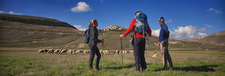Immagine: Attività outdoor tra natura e sport