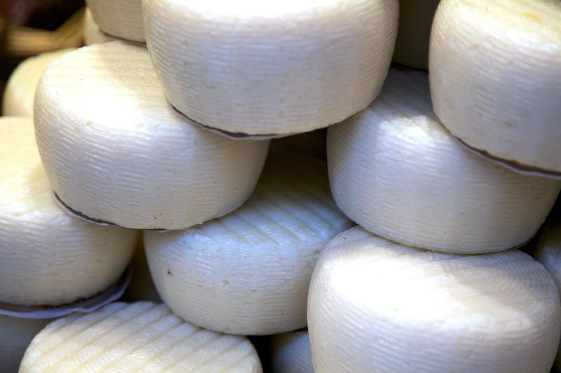 Caciotta