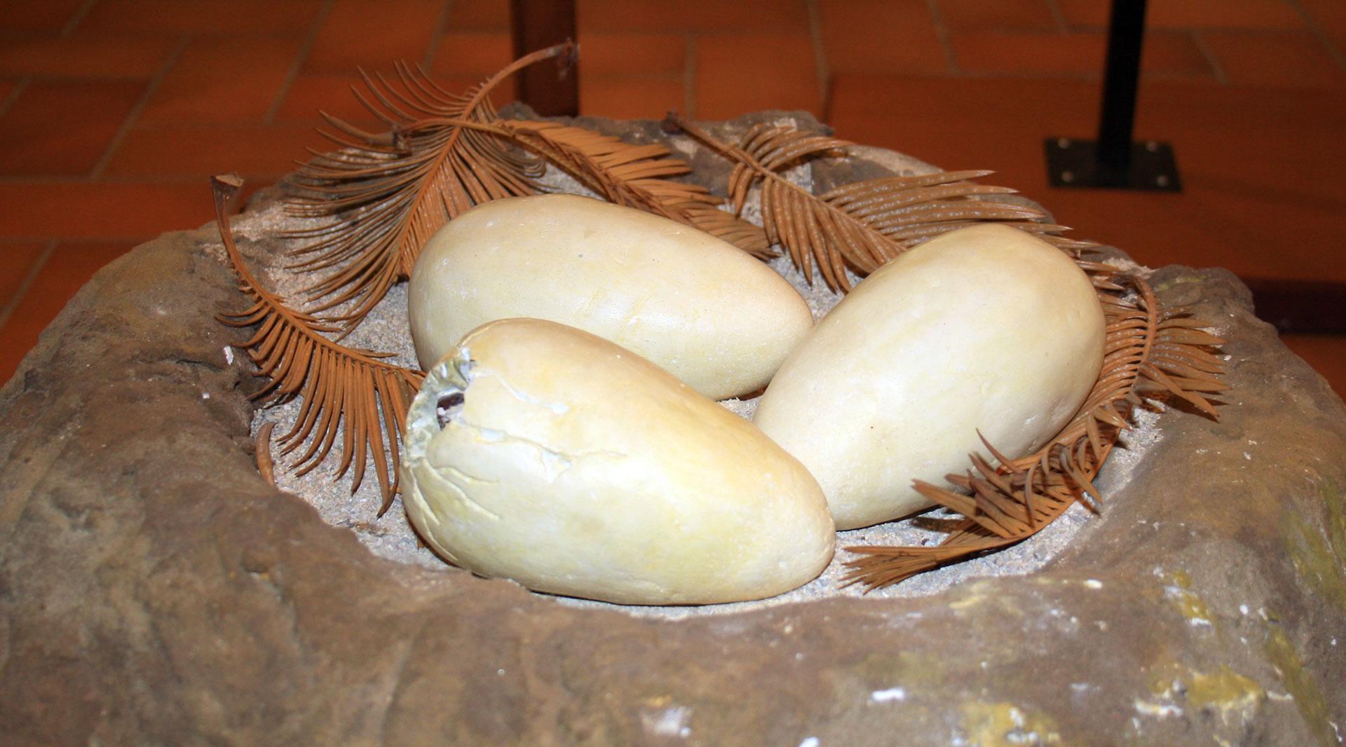 Museo vulcanologico, San Venanzo