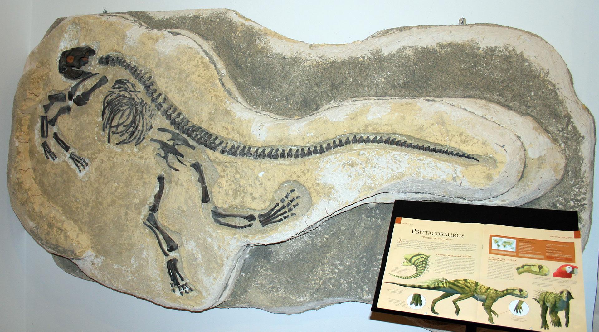 Museo vulcanologico, San Venanzo