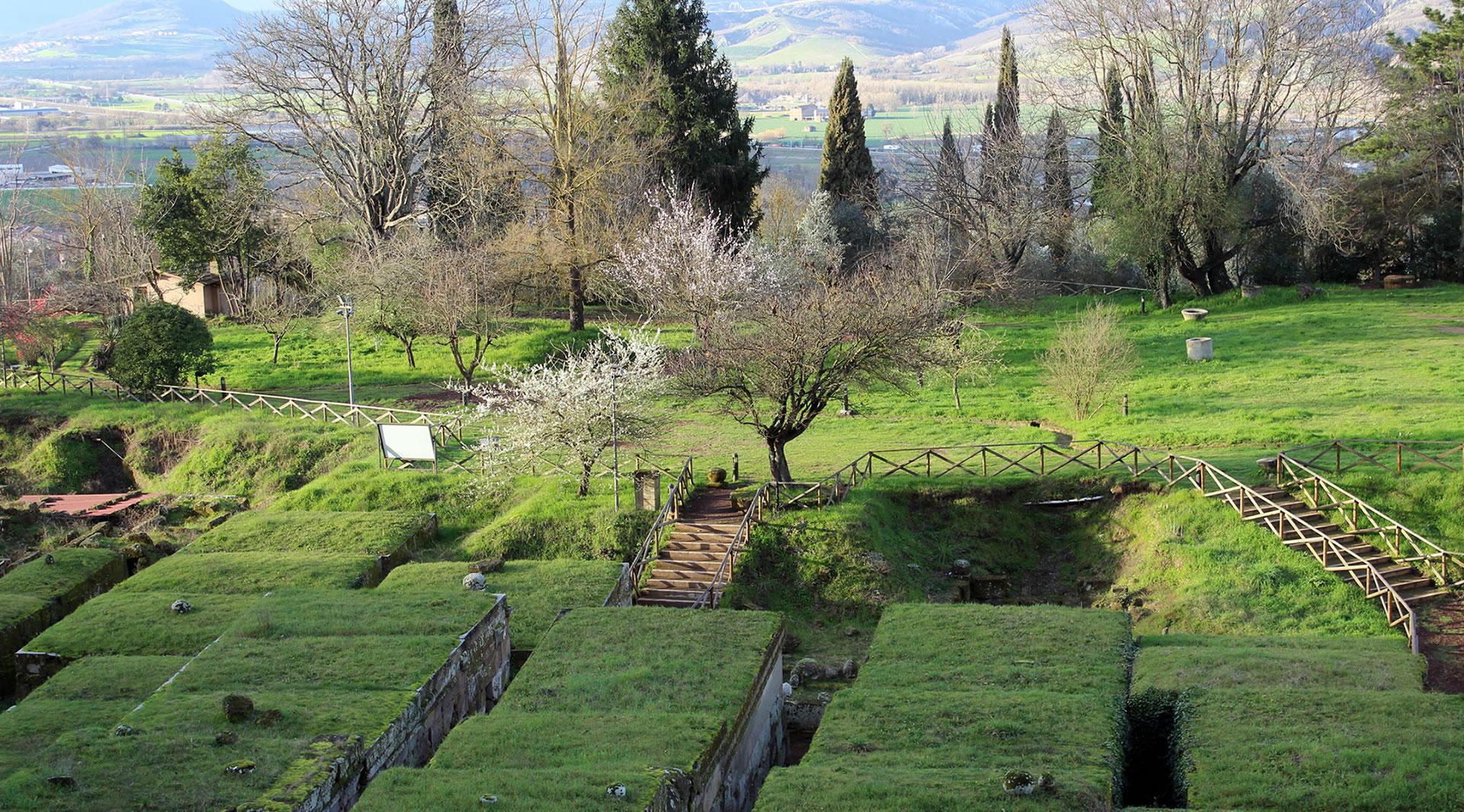 Veduta dall’alto della necropoli etrusca con tombe a tumulo con i tetti ricoperti da un manto erboso, circondata da colline.