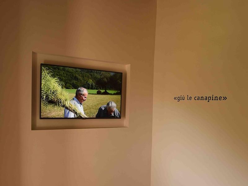 Videoinstallazione con testimonianze sulla coltivazione della canapa all’interno del percorso espositivo del Museo della Canapa nella stanza “Giù le canapine”